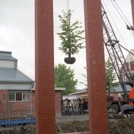 Ivey Hall Library Redevelopment 1991-1992 011