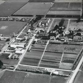 Mid 1950s South aspect of Lincoln Campus Aerial View 