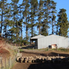 2017 LU Farm Mt Grand 009
