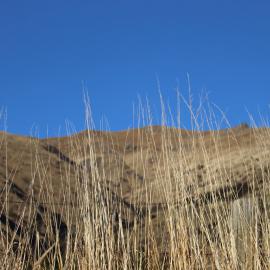 2017 LU Farm Mt Grand 053