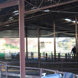 2017 LU Farm Mt Grand 078