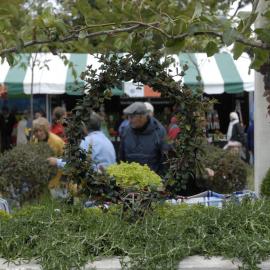  2009 Ellerslie Flower Show 096