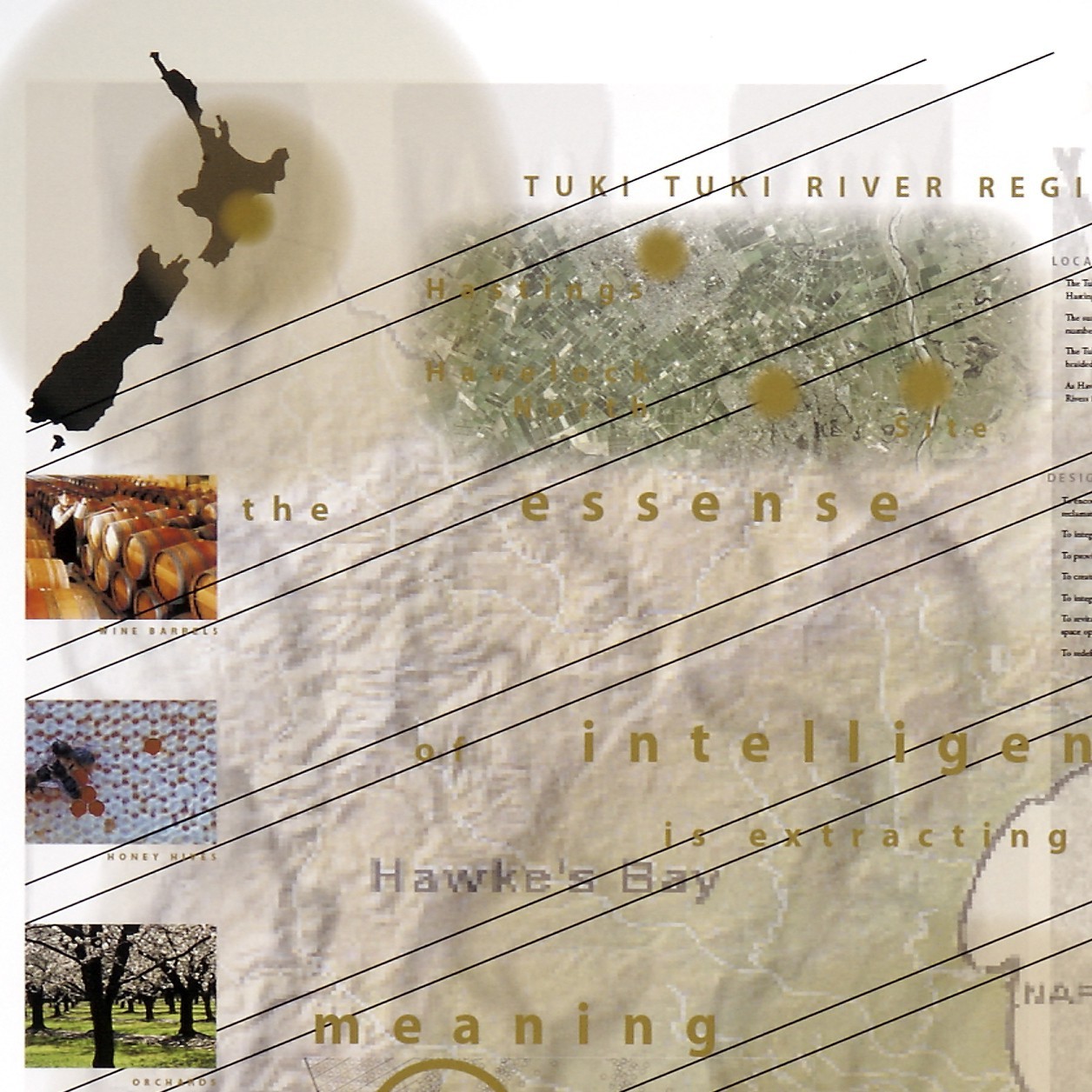 Tuki Tuki River - Megan J. Taylor 