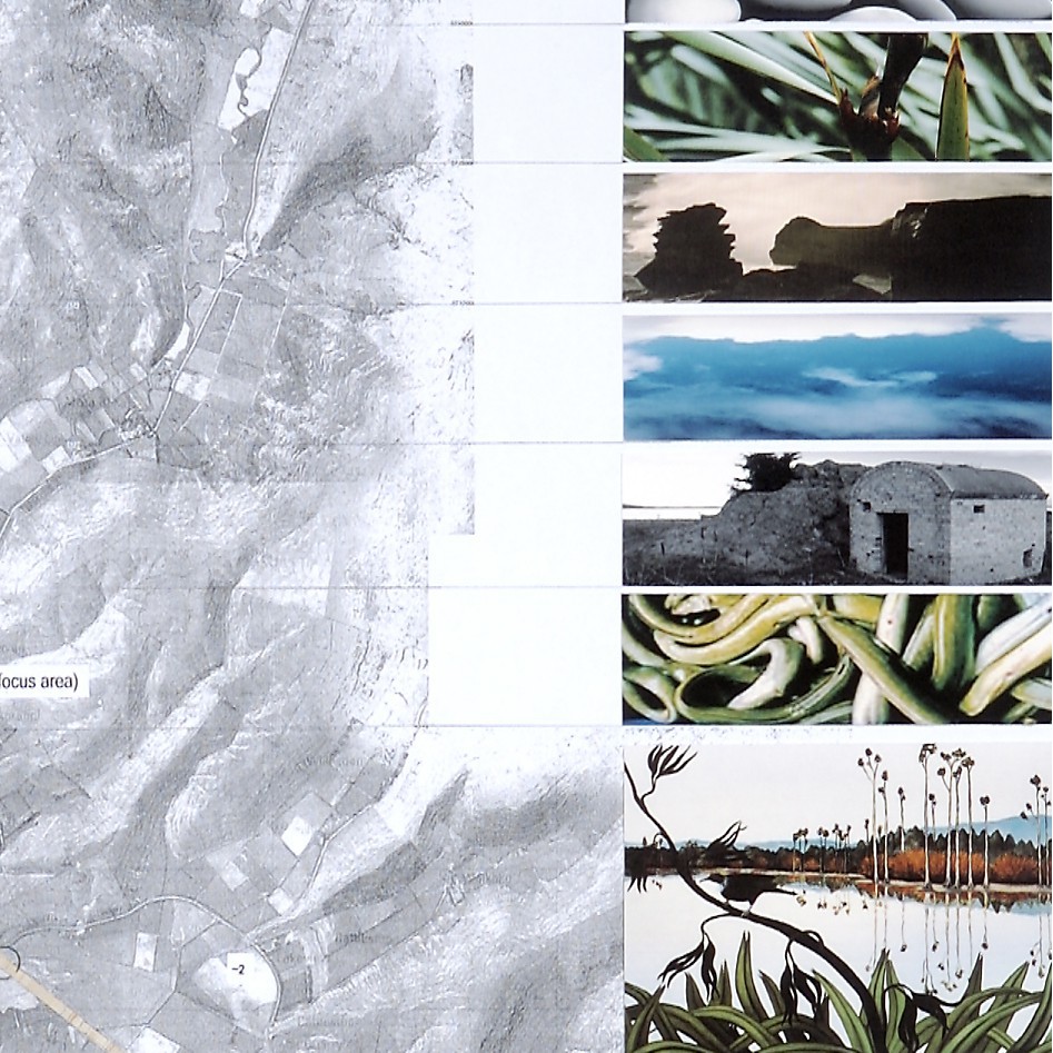Waihora Walkway - Wendy Hoddinott 