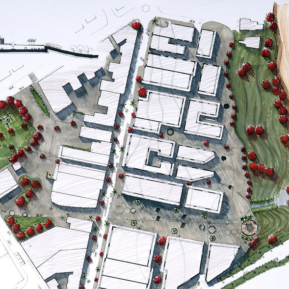 Revealing Takapuna- Ainsley Chapman