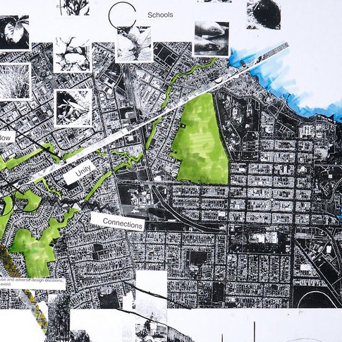 Mangakakahi Community Park - Brion Matthews