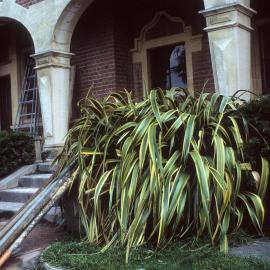Ivey Hall Redevelopment 1985-1987 no.009