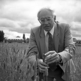 Professor of Agronomy Jim White "in the field " prior to his retirement in December, 1993 01