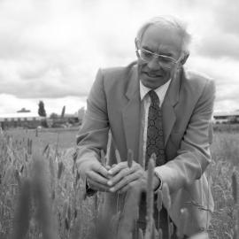 Professor of Agronomy Jim White "in the field " prior to his retirement in December, 1993 02
