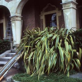 Ivey Hall Redevelopment 1985-1987 no.005
