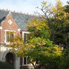 2016 Ivey Hall from Commerce Building 01