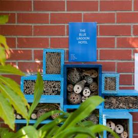 2014 SoLA Insect Motels Tour 50