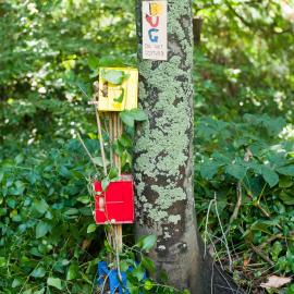 2014 SoLA Insect Motels Tour 30