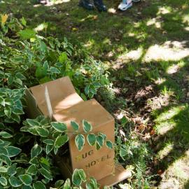 2014 SoLA Insect Motels Tour 35