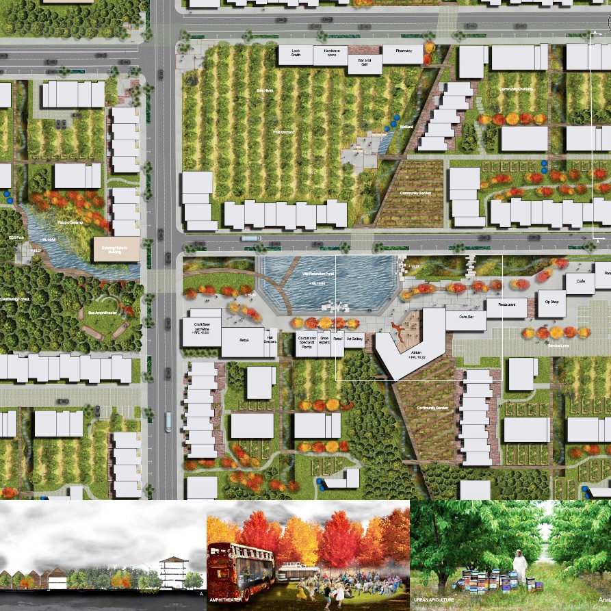 NoMo: A Catalyst for the region - Annabel Crosbie