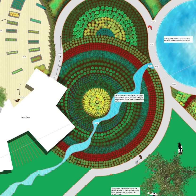 Growing Resilience in Geraldine - Kim Northcott