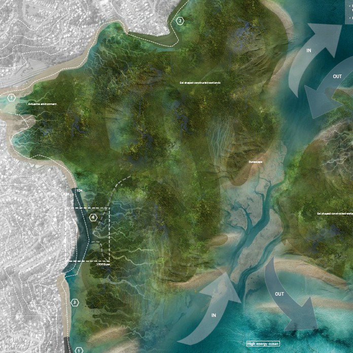 Dunedin: A Natural System of Change - Hayley Swan