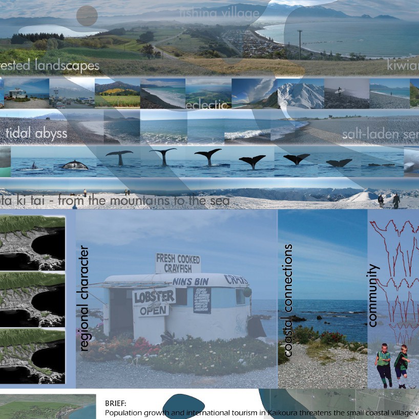 Kaikoura: Embracing Journeys - Desmond Stock