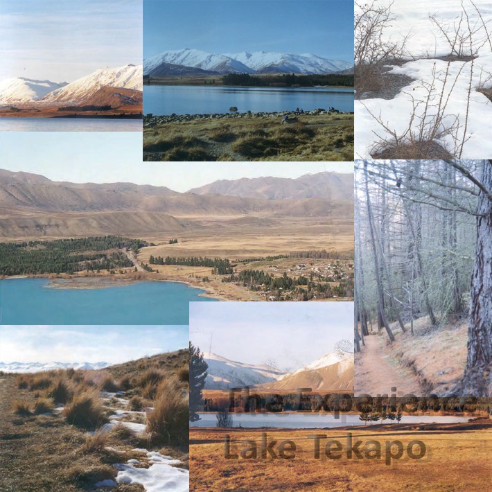 'The Experience' Lake Tekapo - Amy Wright