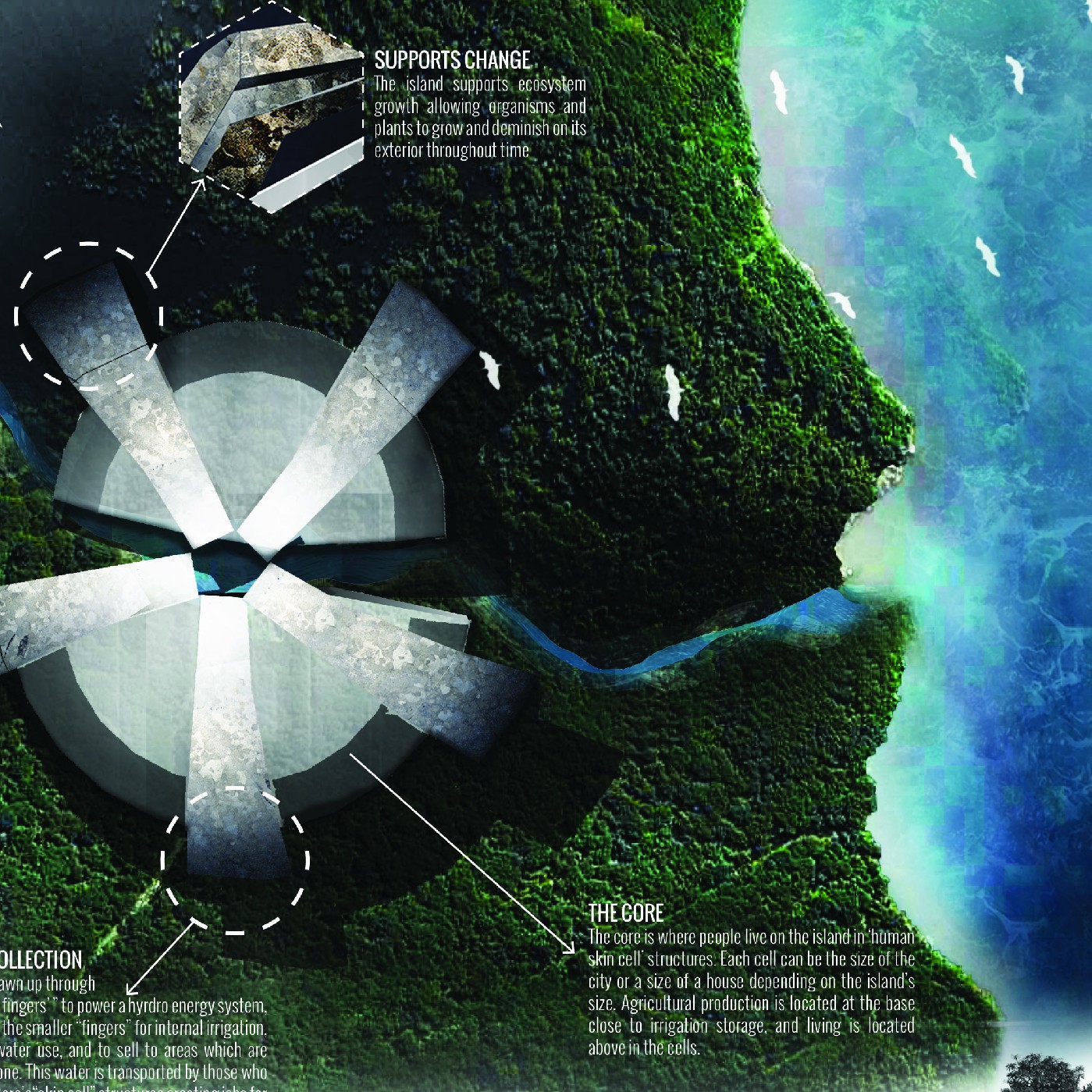 LASC 406 Complex Design