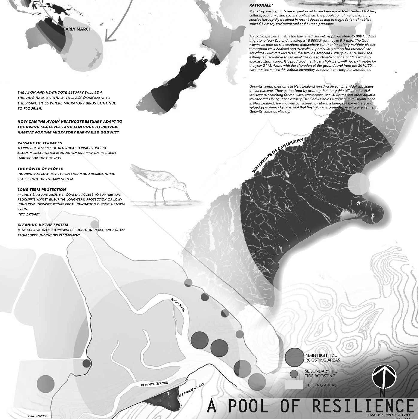 2018 A Pool of Resilience - Bridget Macfarlane