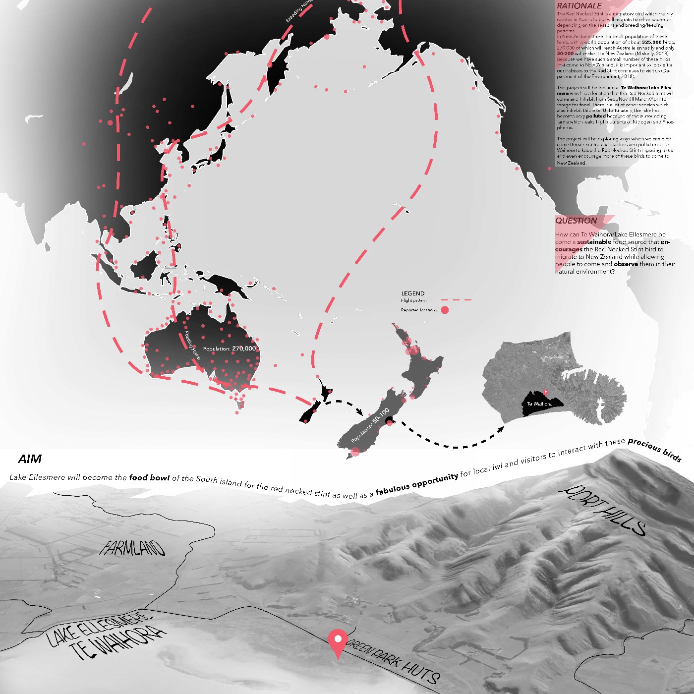 2018 Saving Our Red-Necked Stint - Hannah-Rose White