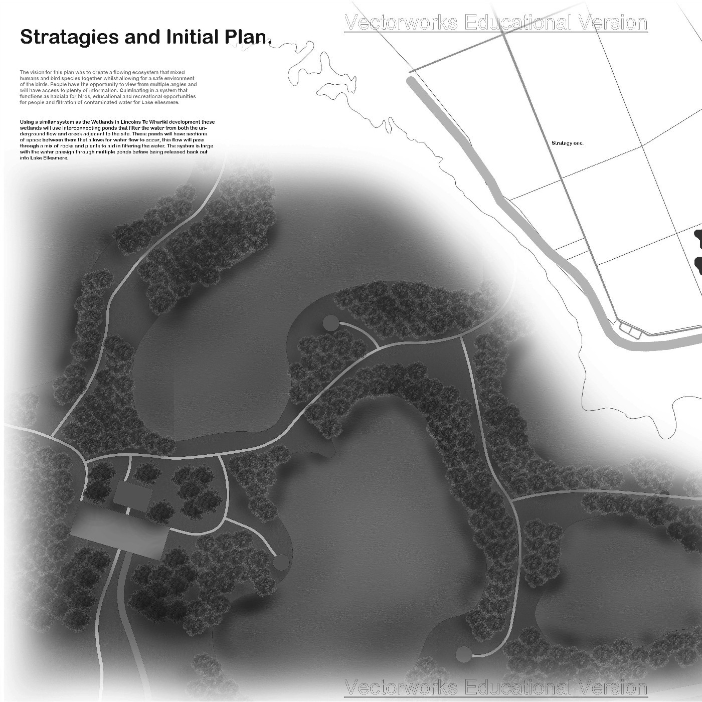 2018 The Red-Necked Stint at Lake Ellesmere - Nicholas Eyles