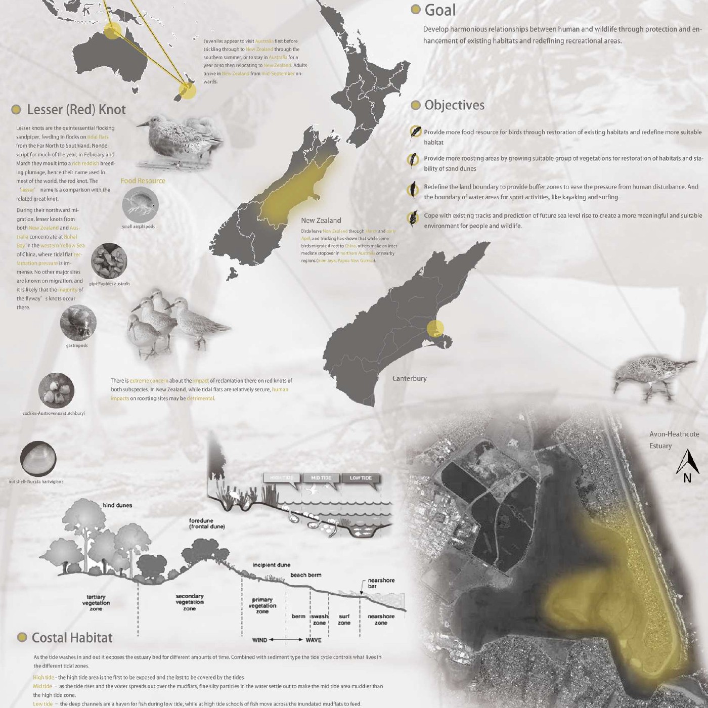 2018 Back to the Wild - Skyla (Sijia) Wei