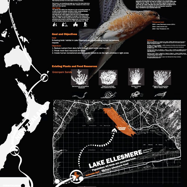 2018 The Redevelopment of Habitat of Red Knots in Lake Ellesmere - Zhongkang (Jeathro) Zhu