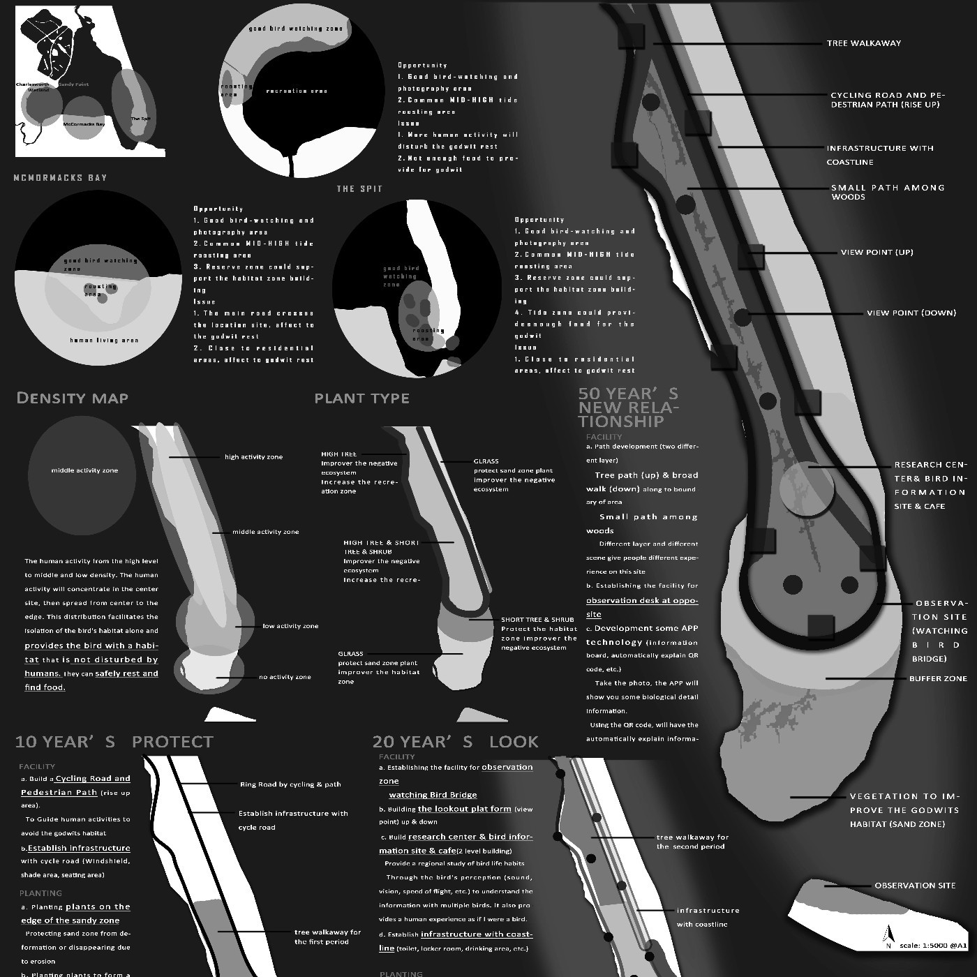 2018 Safe Home For Bar-Tailed Godwits - Xiaolu Wang