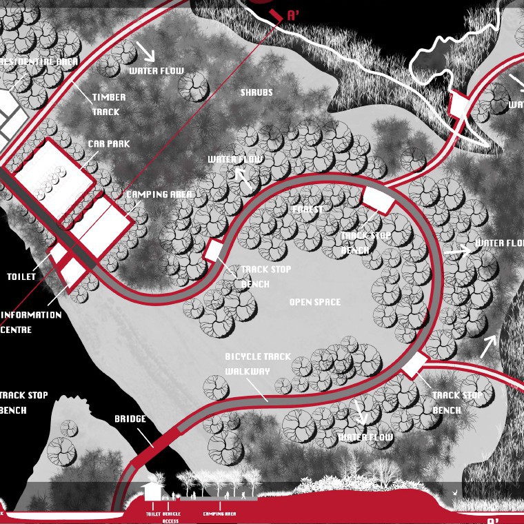 2018 Lake Ellesmere: White-winged Black Tern's Breeding Home - Yao Yao