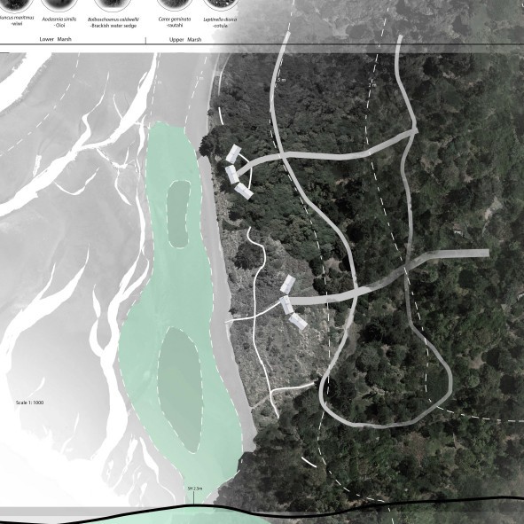 2018 Birds of a Feather Crammed Together - Luke Lagan
