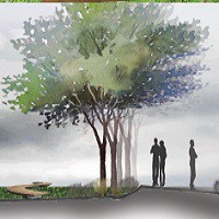 2017 - Kākāriki | Gem - Bridget Macfarlane