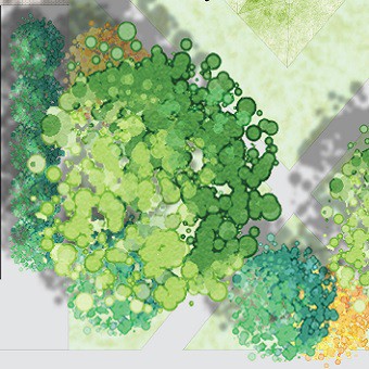 2017 - Green and Greyscapes: Lincoln University Campus - Yuzhe Yan