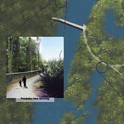 2016 - Analytical Plan for Avondale Wetland Bush - Claire McAuley