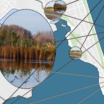 2014 - New Brighton Salt Marsh Restoration - Luke Drumm