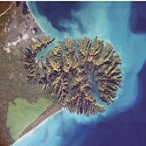 2014 - New Brighton: A 100 Year Plan for a Sustainable Future - Paula Hansen