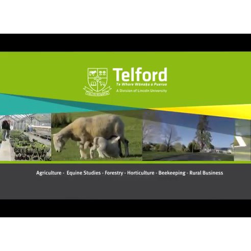 Telford a Division of Lincoln University