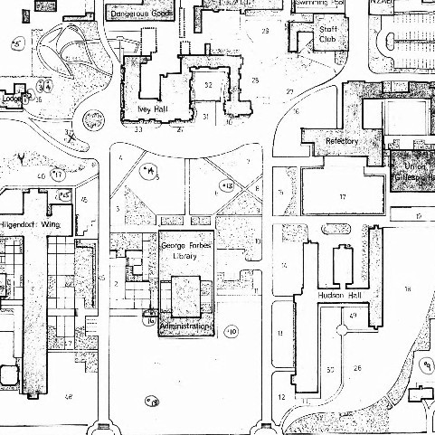 Some trees at Lincoln College