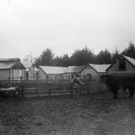 Canterbury Agricultural College Farm buildings 1