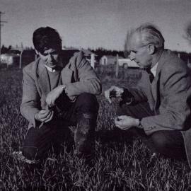 Co-operation in Research 1