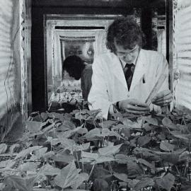 1977 Sophistication of research 2