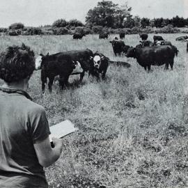 1977 Ashleydene farm