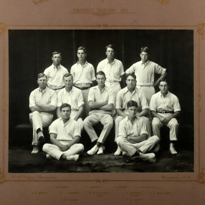 Cricket