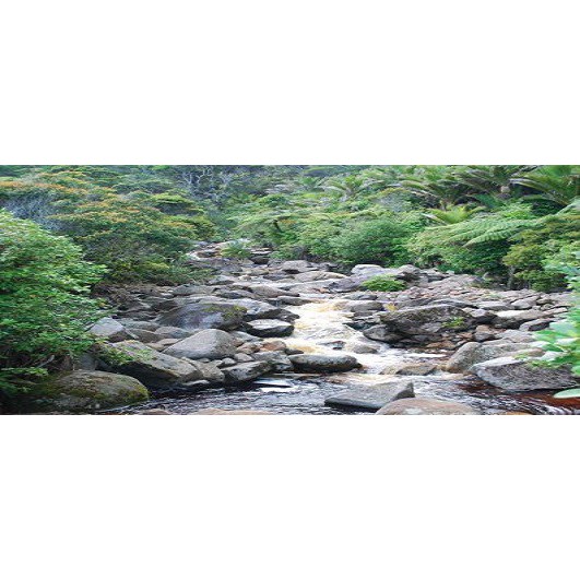 21 July 1999 
Environmental Imperatives Still to be Taken to Heart Says Parliamentary Commissioner