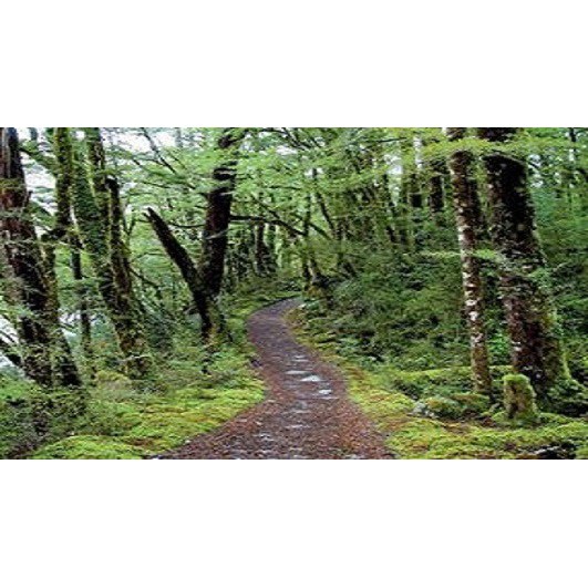 19 July 1999 
Lincoln Takes Nation's Environmental Pulse