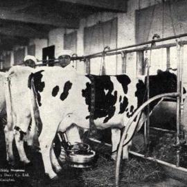 1932 Milking Machines