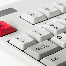 5 September 2000 
Quartet's A-plus university success through South Otago High School