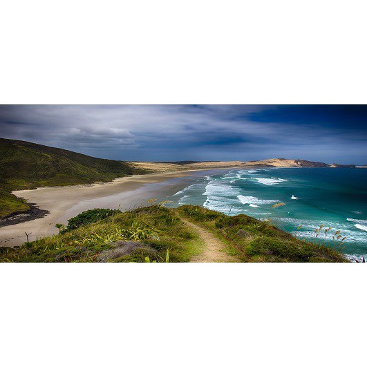 23 June 2000 
Minister advocates environment reporting system to keep NZ's image honest
