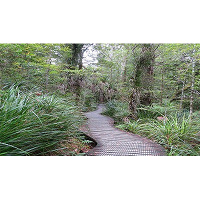 18 June 2004 
Go for a 'Difference-Making' Degree